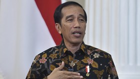 Jokowi Tegaskan Tak Impor Beras