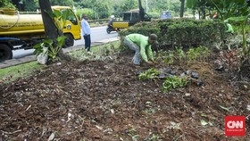 Taman Balai Kota Jakarta Rusak, Ahok Maafkan Pendemo