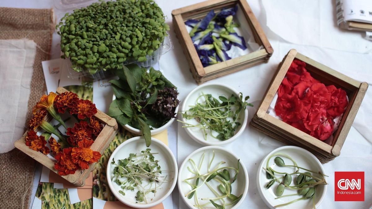 Rahasia Organ Tubuh Sehat Ada di 7 Makanan Ini