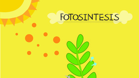 Semua yang Kamu Perlu Tahu tentang Fotosintesis