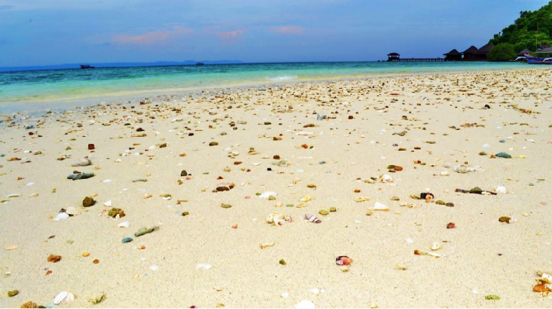 Pemerintah Kabupaten Pesawaran akan menggelar Festival Puhawang Teluk Ratai untuk pertama kalinya.