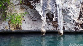 Mitos dan Fakta Batu Kelamin Pria di Raja Ampat