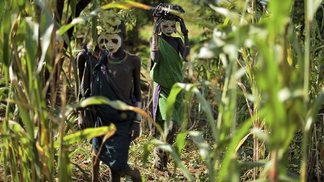 Afrika wilayah selatan dan timur terancam alami kelaparan akibat tanaman pangan mereka habis dimakan ulat.