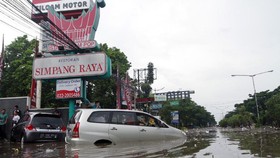 Masalah Lingkungan, Pemerintah, dan Kita