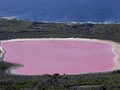 Turis China Menyerbu Danau Pink Australia