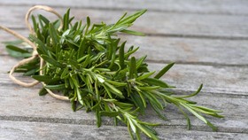 Rosemary, Daun Rempah 'Bumbu' Panjang Umur