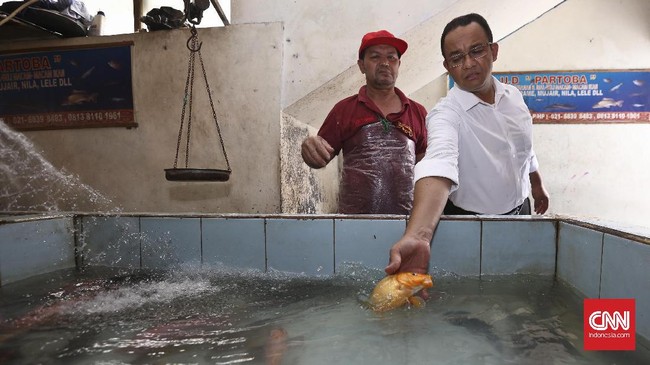 Anies Baswedan mengklaim tidak akan terpengaruh dengan hasil jajak pendapat. Ia berkata, pilihan warga Jakarta yang sesungguhnya akan terlihat Februari nanti.