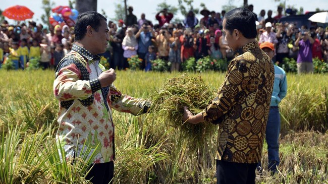 Jokowi berharap Kabupaten Bantaeng, Sulawesi Selatan surplus panen padi hingga sayuran sehingga kelebihan itu bisa dibawa ke Ibu Kota Negara (IKN) Nusantara.