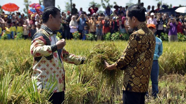 Jokowi Berharap Bantaeng Bisa Jadi Pemasok Beras Hingga Sayur ke IKN