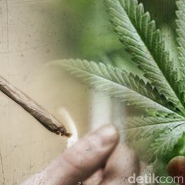 Polisi Tangkap Artis FF Terkait Kasus Narkoba, Siapa Dia?