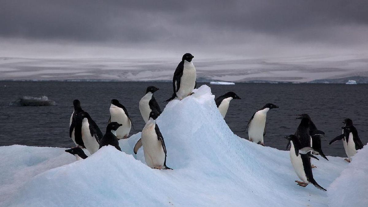 Pilot Explains Why There Are No Commercial Flights Over Antarctica