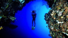Ini Jadwal yang Tepat untuk Berlibur ke Wakatobi