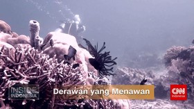 Derawan yang Menawan