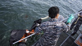 Hari ke-5 Evakuasi 17 Kapal Kalbar: 80 Selamat, 15 Meninggal
