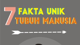 7 Fakta Unik Tentang Tubuh Manusia yang Perlu Kamu Tahu