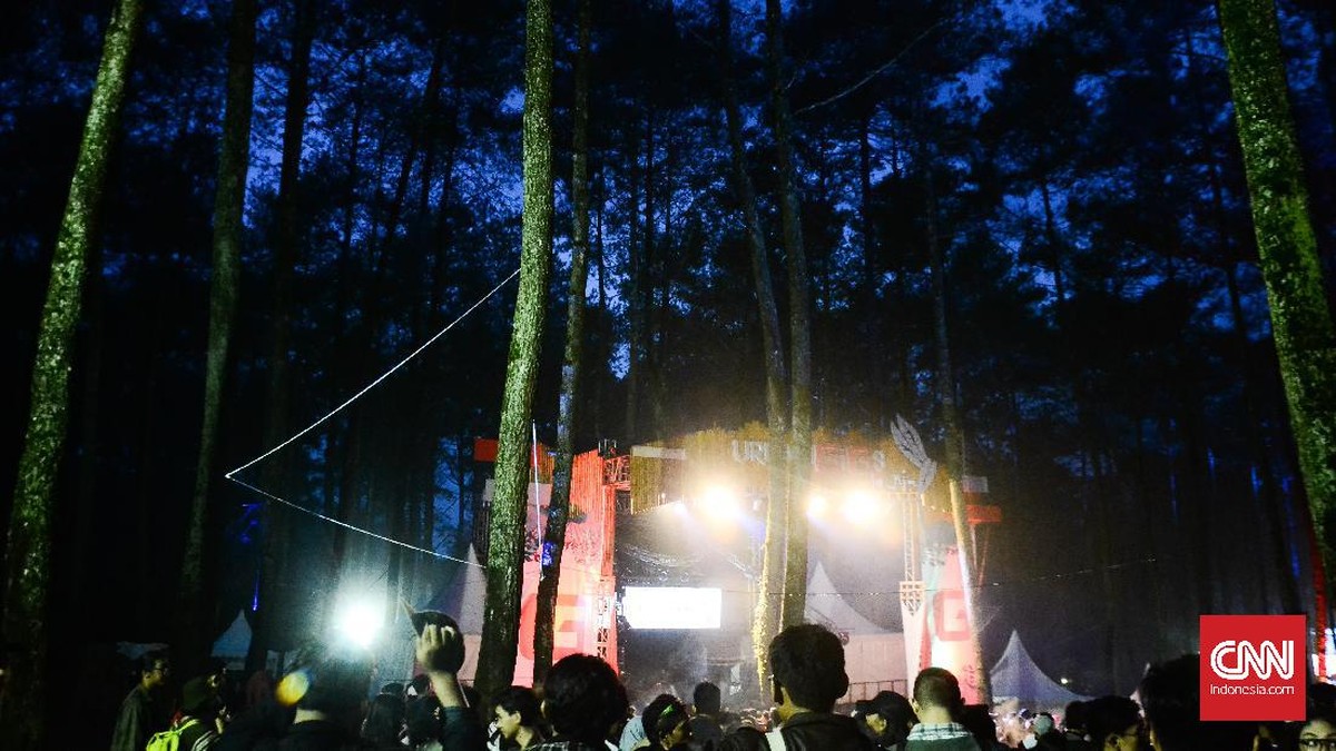Kehangatan Musik di Tengah Hutan Pinus