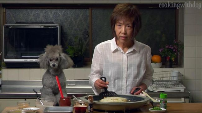 Si anjing pudel abu-abu lucu yang selalu anteng menemani juru masak ini menutup usia 14 tahun, sembilan bulan.