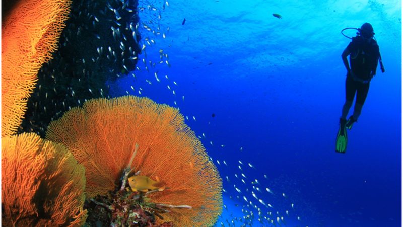 Kementerian Pariwisata (Kemenpar) terus berusaha melebarkan pasarwisata bahari Wonderful Indonesia ke mata dunia.