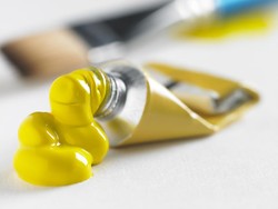 Benarkah Lalat Benci Warna Kuning? Simak Faktanya!