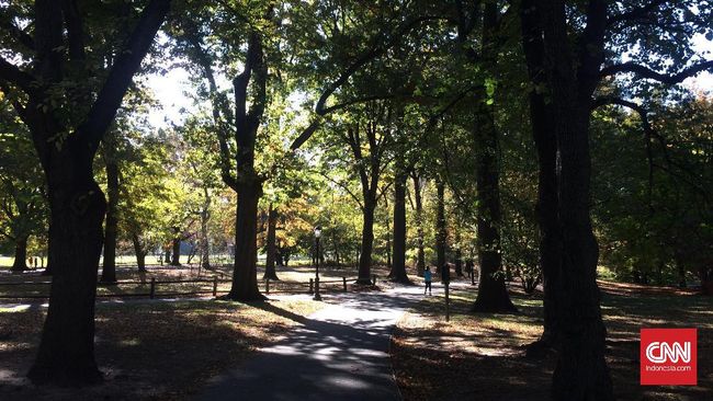 Kota New York tak lama lagi memberlakukan aturan bebas kendaraan bermotor di kawasan Central Park.