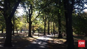 Kurangi Polusi, Kendaraan Dilarang Melintas di Central Park