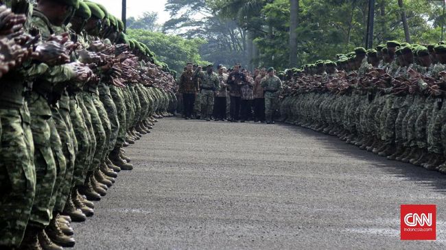 Sikapi AS-Australia, RI Butuh Pangkalan Militer di Papua