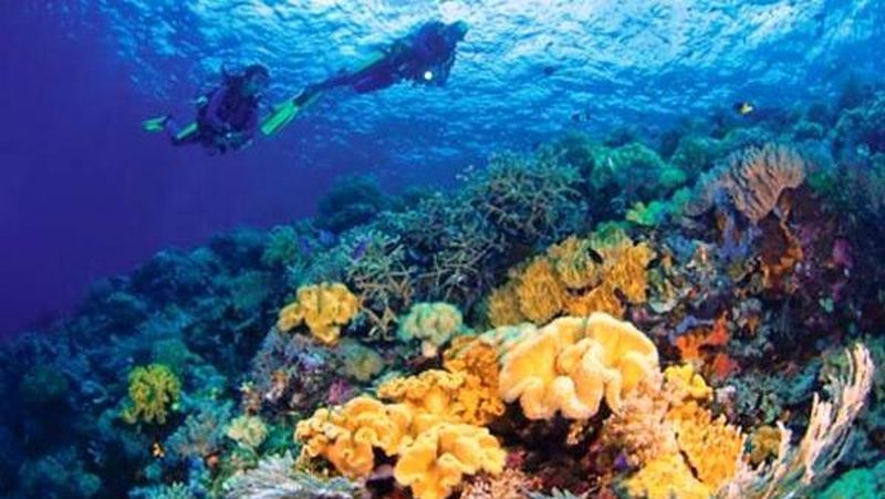 Wangi-Wangi, Kaledupa, Tomia, dan Binongko di Sulawesi Tenggara itu akan segera menggelar Wakatobi Wave 2016.