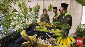 Berpesta Buah Tropis di Sudut Senayan