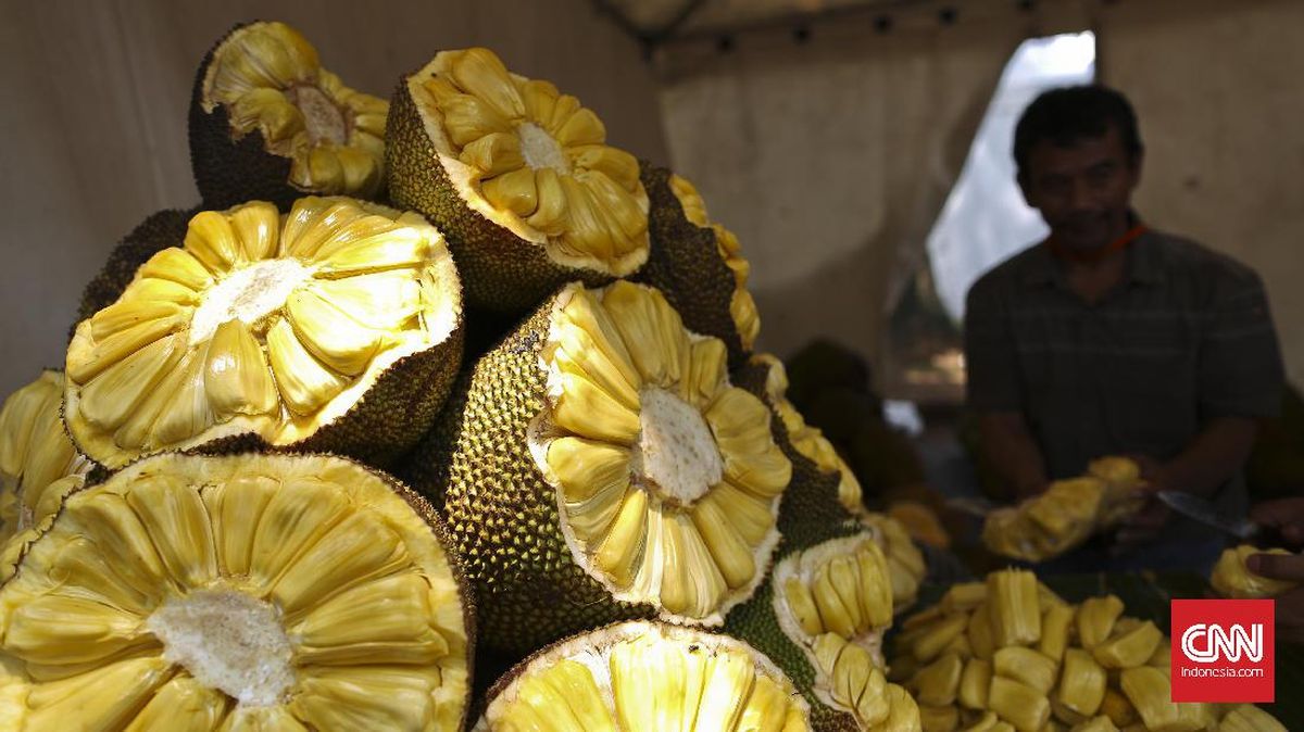 Ini 4 Manfaat Tak Terduga Daun Nangka untuk Kesehatan