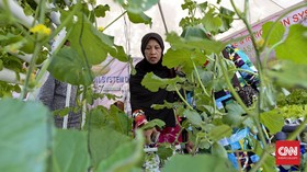 Mengenal Macam-macam Tanaman Hortikultura