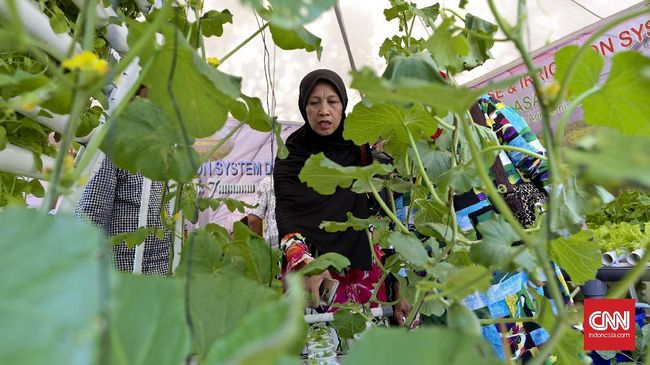 Mengenal Macam-macam Tanaman Hortikultura Informasi mengenai macam-macam tanaman hortikultura dapat membantu Anda untuk mencari tanaman yang tepat sesuai kebutuhan dan lahan yang tersedia.