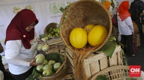 Corona Bikin Penjualan Produk Pertanian Makin Subur