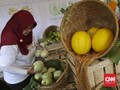 Corona Bikin Penjualan Produk Pertanian Makin Subur