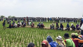 Tolak Bandara, Petani Majalengka Ditembak Gas Air Mata