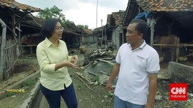Membangun Desa Melalui Ternak