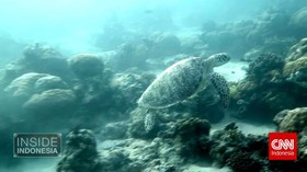 Harapan dari Derawan