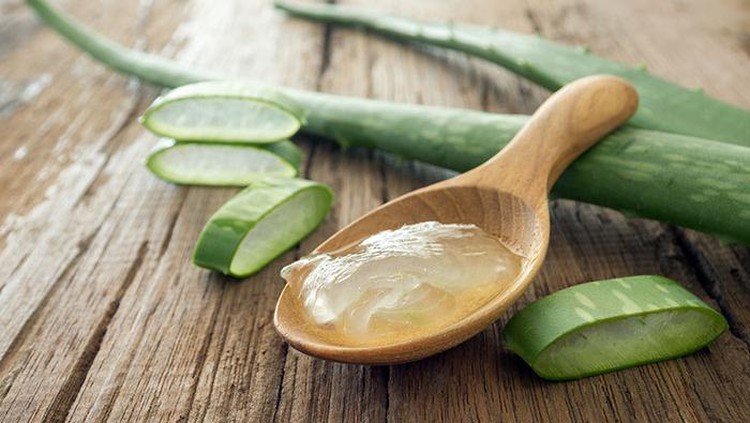 Bunda juga bisa lho membuat hand sanitizer sendiri, karena cara dan bahannya cukup mudah. Selain lidah buaya, bahan apa saja sih yang dibutuhkan? Simak yuk!