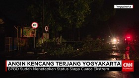 Angin Kencang Robohkan Ratusan Pohon di Yogyakarta
