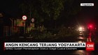 Angin Kencang Robohkan Ratusan Pohon di Yogyakarta