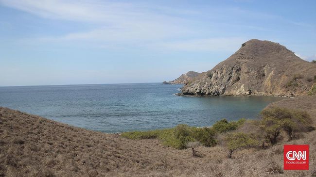 Jumlah Wisatawan Labuan Bajo Anjlok 82 Persen pada 2020 Dinas Pariwisata Kabupaten Manggarai Barat mengatakan jumlah wisatawan yang berkunjung ke Labuan Bajo pada 2020 hanya sekitar 44 ribu orang.