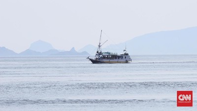 img-title Kapal Wisata Ilegal di Labuan Bajo Gerus Pendapatan Daerah