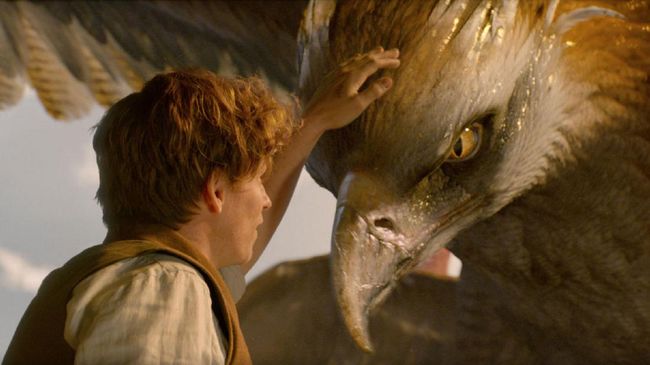 Film yang dibintangi Eddie Redmayne itu mengantongi US$161 juta dari domestik Amerika, dan US$344 juta dari pasar dunia.
