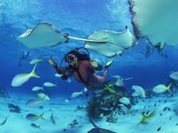 Diving, Olahraga Ekstrem yang Makin Dicintai
