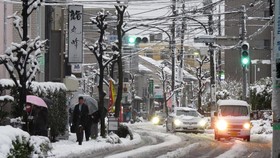 Pertama dalam 54 Tahun, Salju Turun di Tokyo pada November
