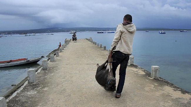Sempat masuk nominasi Film Dokumenter Panjang Terbaik di FFI 2016, kini Nokas akan berkompetisi di Singapore International Film Festival 2016.