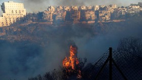 Kebakaran Melalap Kota di Israel, 60 Ribu Warga Mengungsi
