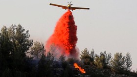Otoritas Israel Tahan 22 Tersangka Pelaku Pembakaran