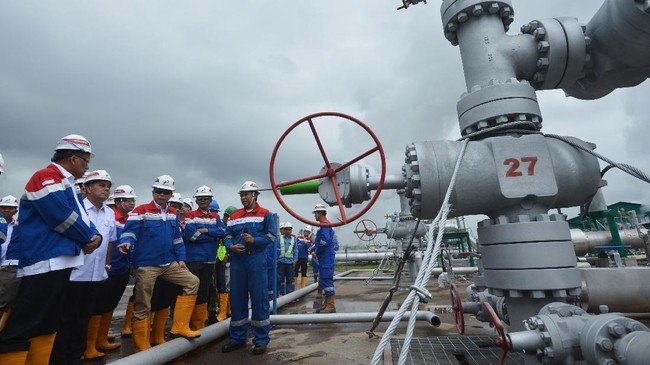 Dirjen Migasi Kementerian ESDM diberi wewenang melakukan evaluasi terhadap harga gas bumi tersebut setiap tahun atau sewaktu-waktu apabila diperlukan.