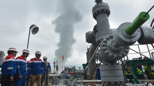 Pemerintah tengah memproses Surat Keputusan Menteri Energi, dan Sumber Daya Mineral (ESDM) sehingga PLN mendapat penugasan mengelola 10 WKP pada akhir tahun.