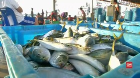 Thailand Hadapi Masalah Besar di Industri Perikanan